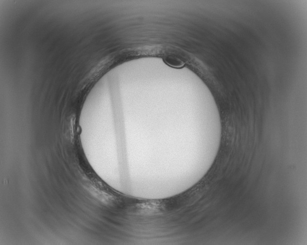 X0000080790118200701051403