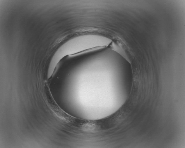 X0000080790119200701051403
