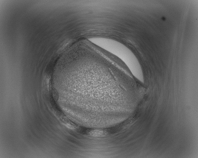 X0000080790123200701051403