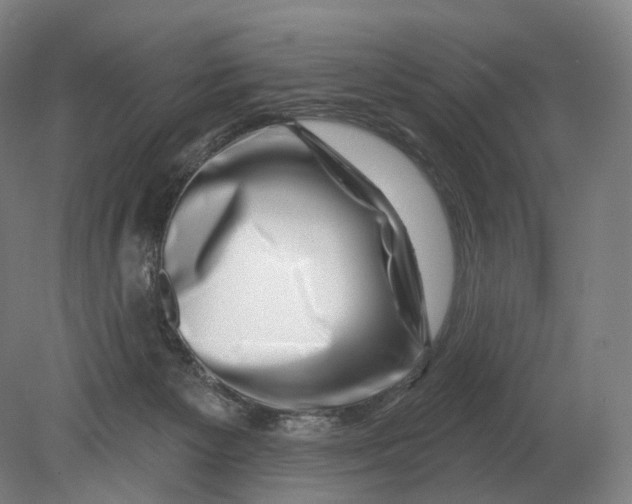 X0000080790125200701051403