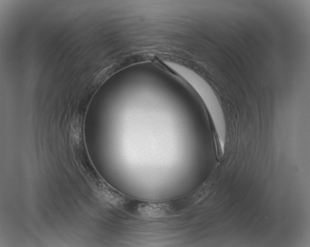 X0000080790129200701051403