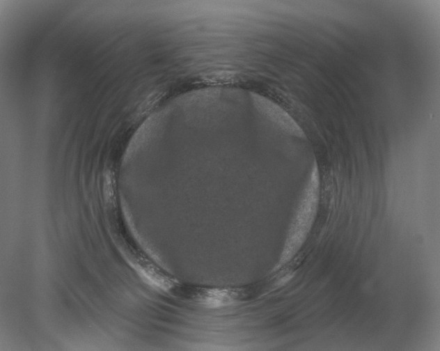 X0000080790130200701051403