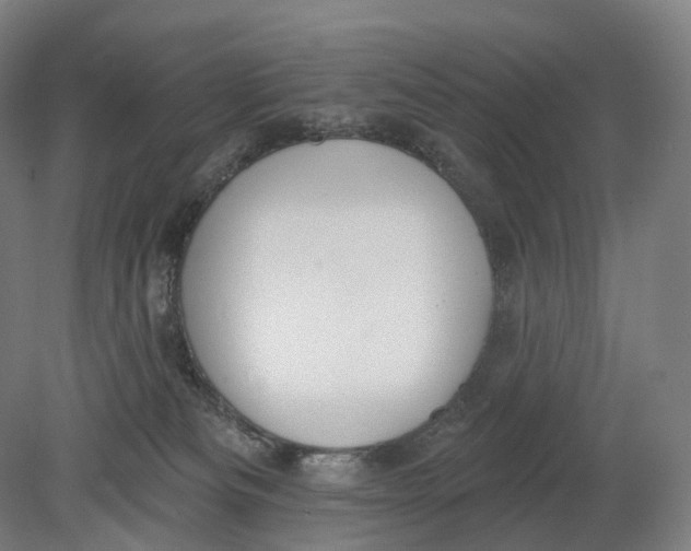 X0000080790133200701051403