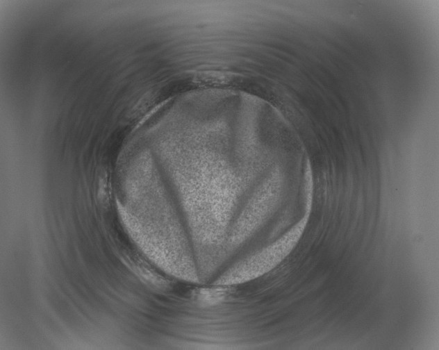 X0000080790134200701051403