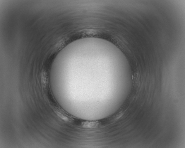 X0000080790135200701051403