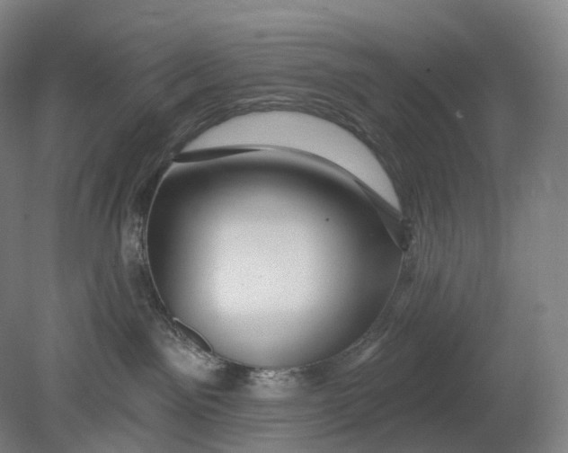 X0000080790141200701051403