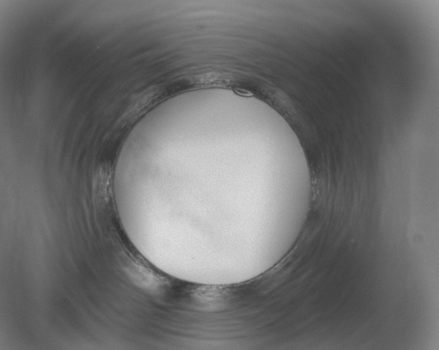 X0000080790142200701051403