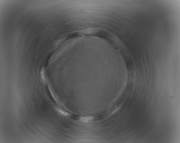 X0000080790143200701051403