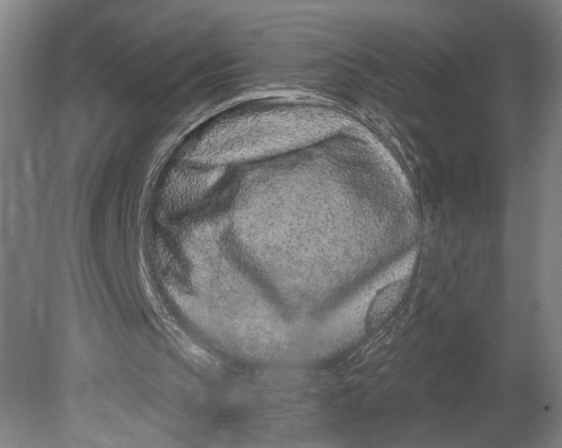 X0000080790145200701051402