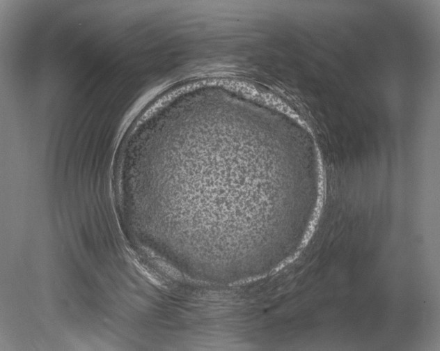 X0000080790147200701051402