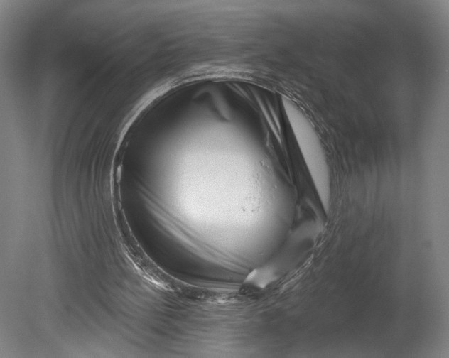 X0000080790148200701051402