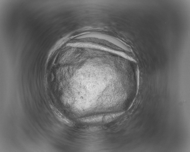 X0000080790149200701051402