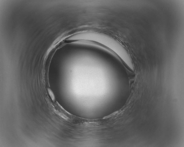 X0000080790150200701051402