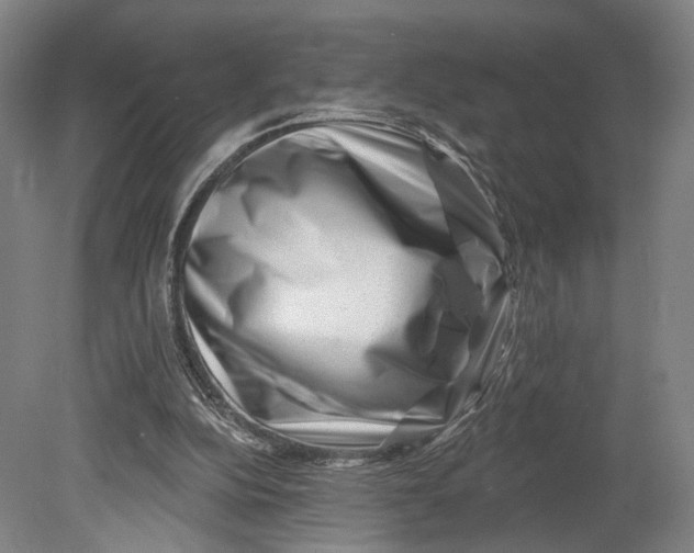 X0000080790152200701051402