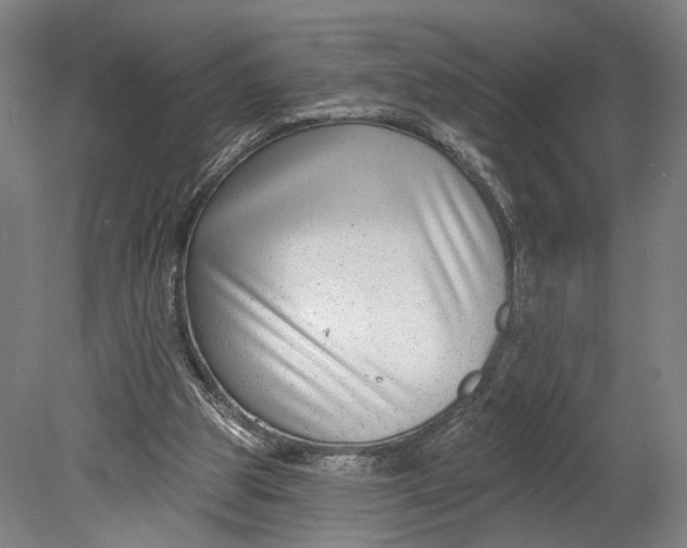 X0000080790153200701051402