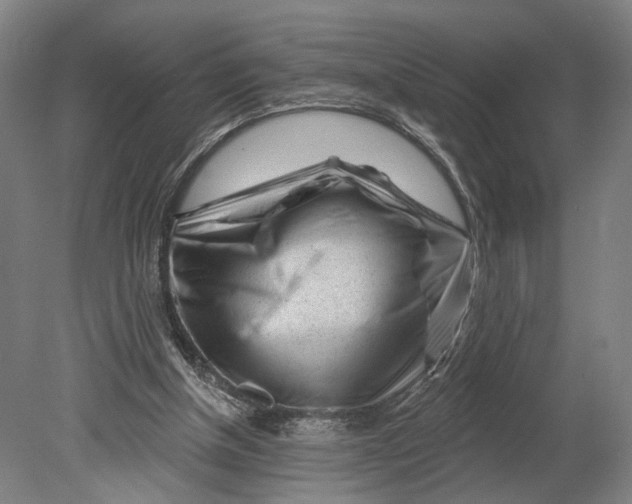X0000080790154200701051402