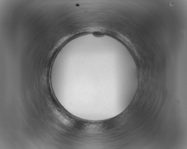 X0000080790155200701051402