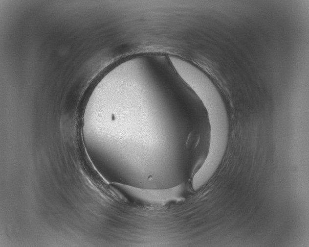X0000080790156200701051402