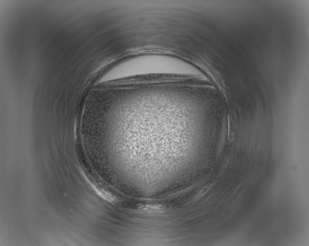 X0000080790157200701051402