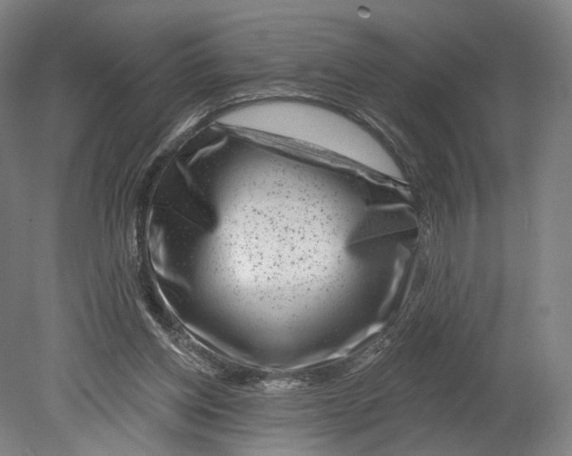 X0000080790158200701051402