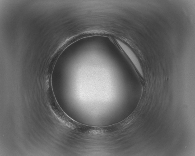 X0000080790160200701051402