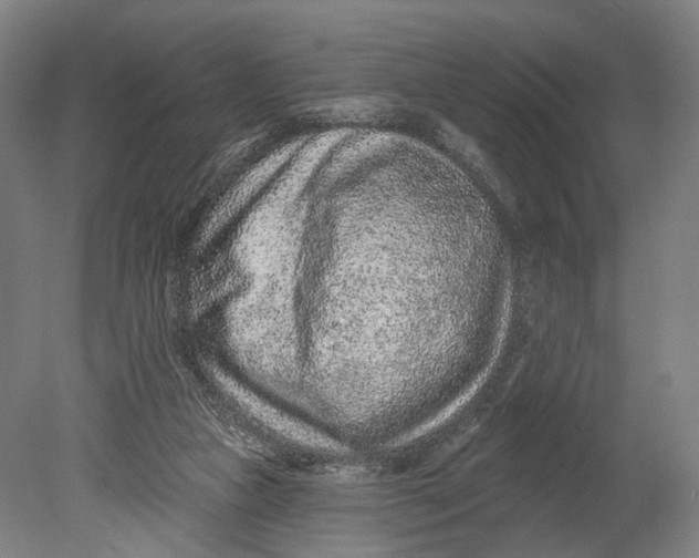 X0000080790161200701051403