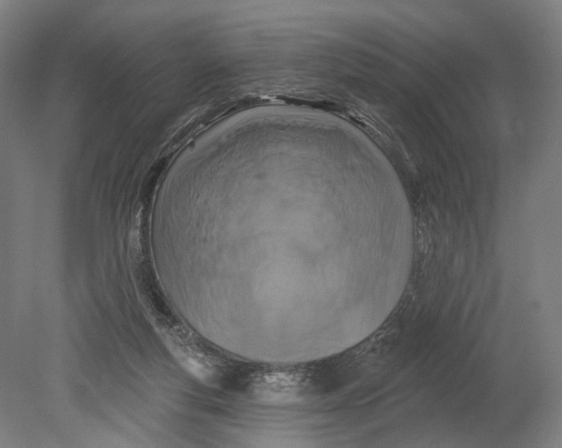 X0000080790163200701051403