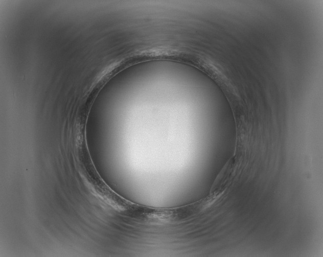X0000080790164200701051403