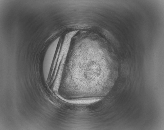 X0000080790165200701051403