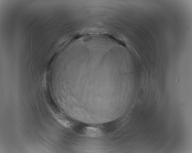 X0000080790167200701051403