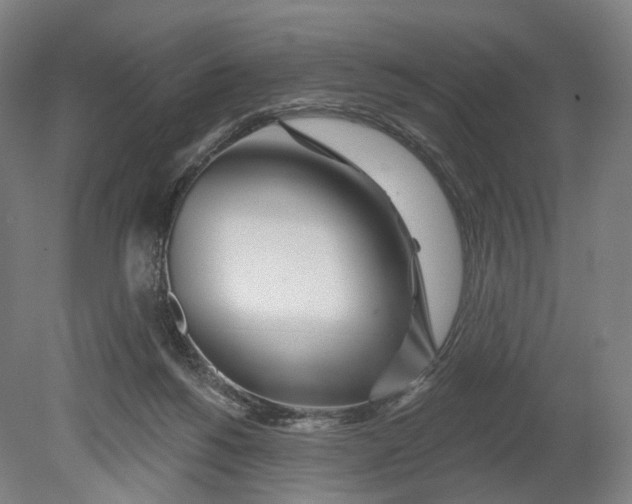 X0000080790168200701051403
