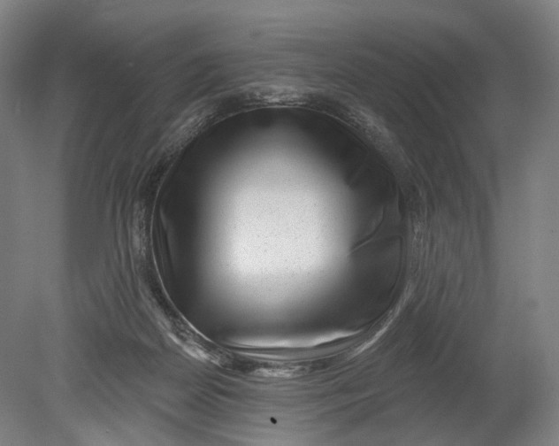X0000080790170200701051403