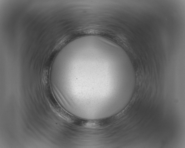 X0000080790171200701051403
