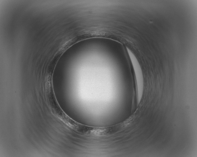 X0000080790172200701051403