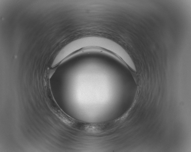 X0000080790174200701051403