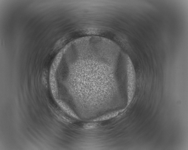 X0000080790175200701051403