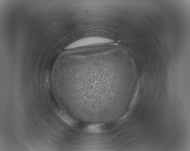 X0000080790178200701051403