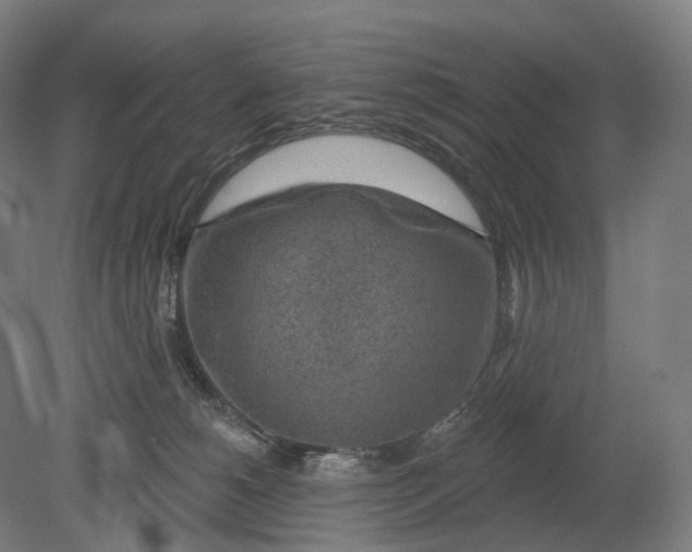 X0000080790180200701051403