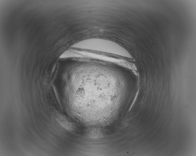 X0000080790181200701051403