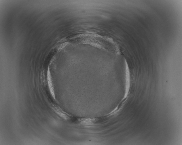 X0000080790182200701051403