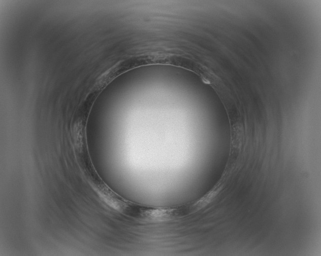 X0000080790184200701051403