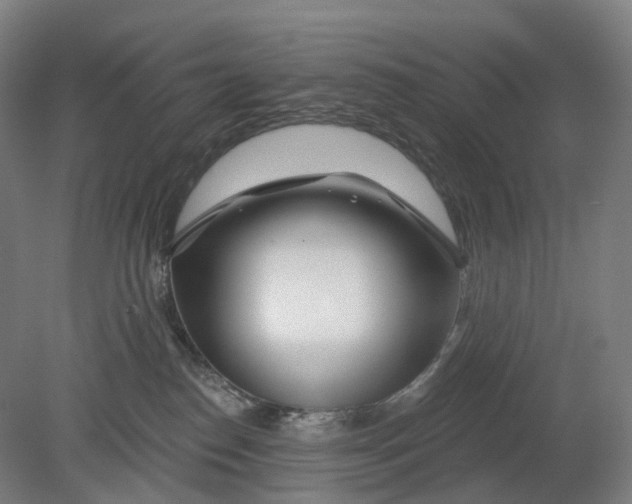 X0000080790186200701051403