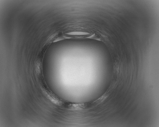 X0000080790188200701051403