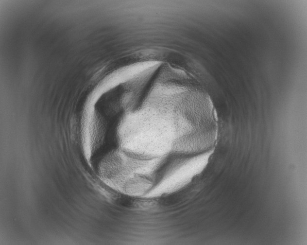 X0000080790189200701051403