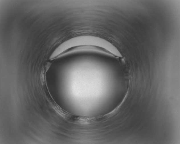 X0000080790190200701051403