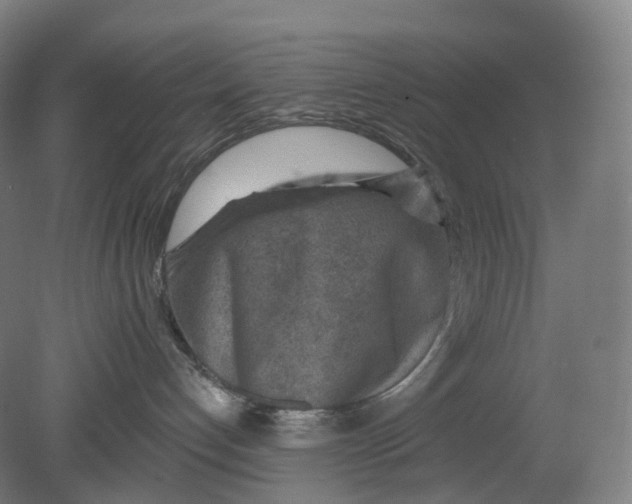 X0000080790192200701051403