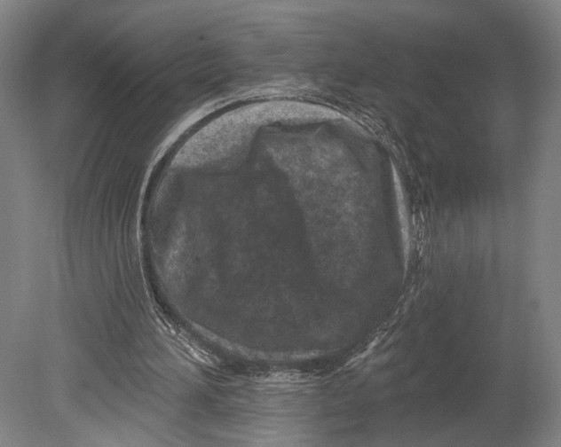 X0000080790196200701051402