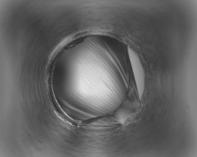 X0000080790197200701051402