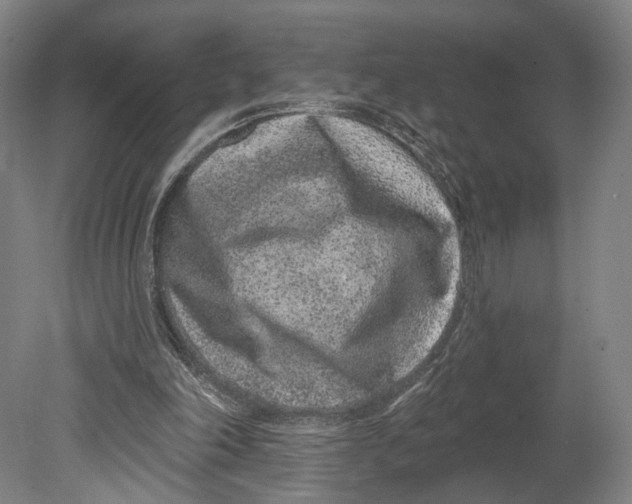 X0000080790198200701051402