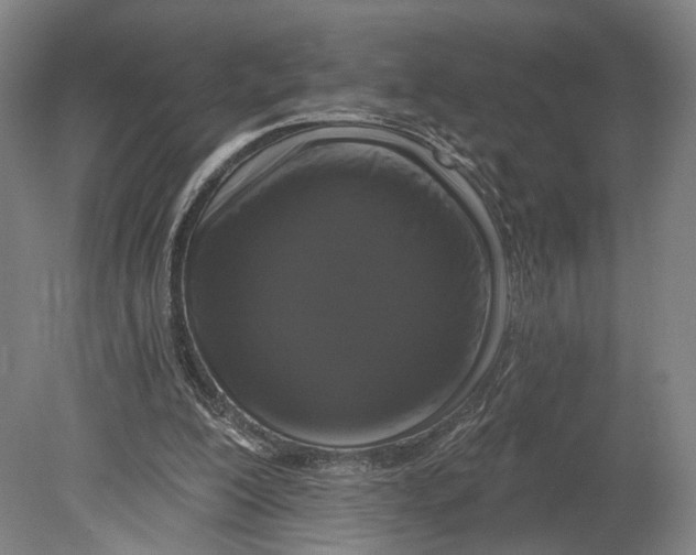X0000080790200200701051402